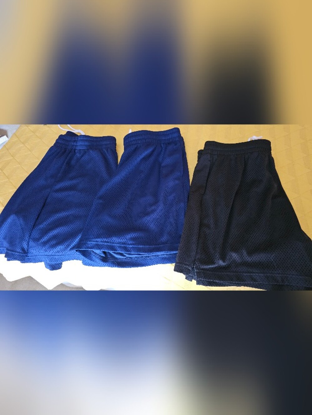 Ladies Mesh Athletic Shorts 3 Pair